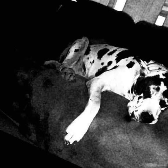 Meet your Posher, Nathan - Picture 1 of 1